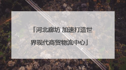 河北廊坊 加速打造世界现代商贸物流中心
