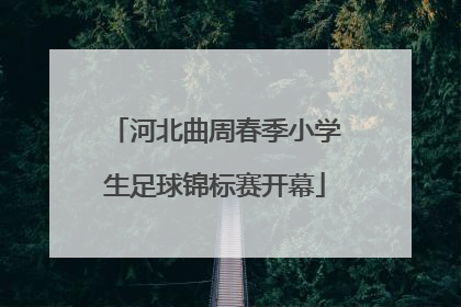 河北曲周春季小学生足球锦标赛开幕