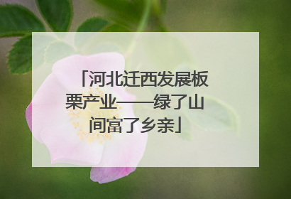 河北迁西发展板栗产业——绿了山间富了乡亲