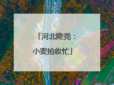 河北隆尧：小麦抢收忙
