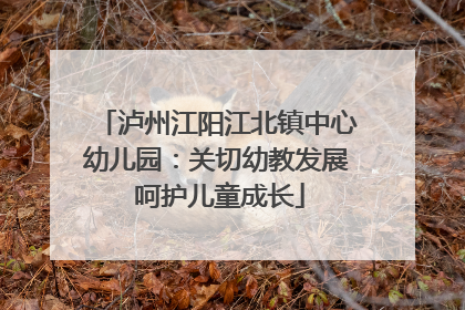 泸州江阳江北镇中心幼儿园：关切幼教发展 呵护儿童成长