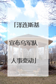 泽连斯基宣布乌军队人事变动