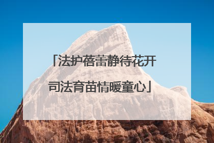 法护蓓蕾静待花开 司法育苗情暖童心