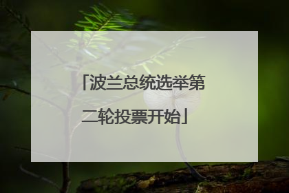波兰总统选举第二轮投票开始