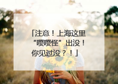 注意！上海这里“嘤嘤怪”出没！你见过没？！