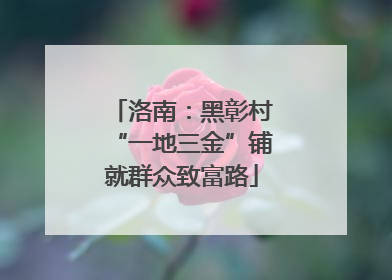 洛南：黑彰村“一地三金”铺就群众致富路