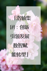 洛轴集团：创新引领发展 数智赋能转型