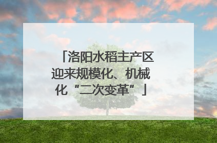 洛阳水稻主产区迎来规模化、机械化“二次变革”