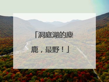 洞庭湖的麋鹿，最野！