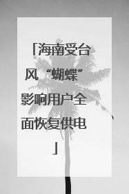 海南受台风“蝴蝶”影响用户全面恢复供电