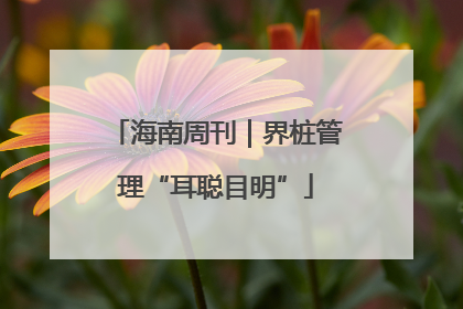 海南周刊｜界桩管理“耳聪目明”