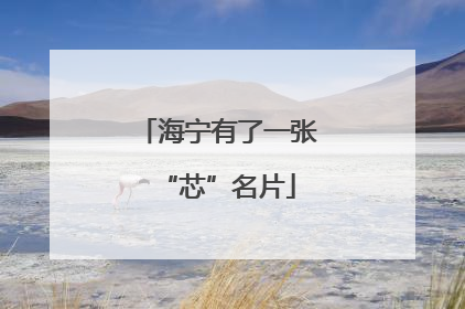 海宁有了一张“芯”名片