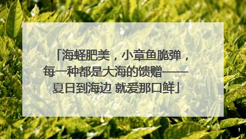 海蛏肥美，小章鱼脆弹，每一种都是大海的馈赠——夏日到海边 就爱那口鲜