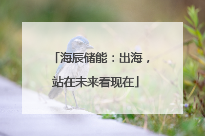 海辰储能：出海，站在未来看现在