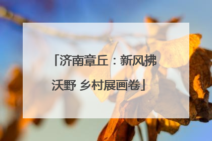 济南章丘：新风拂沃野 乡村展画卷