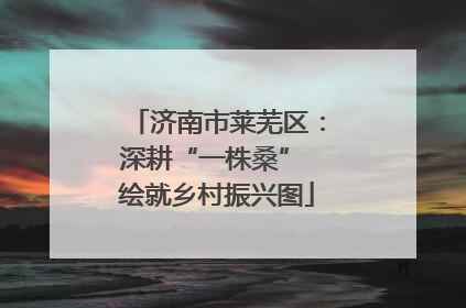 济南市莱芜区：深耕“一株桑” 绘就乡村振兴图
