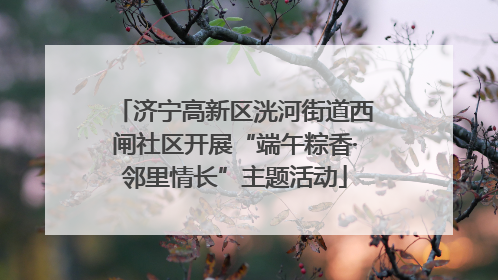济宁高新区洸河街道西闸社区开展“端午粽香·邻里情长”主题活动