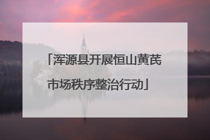 浑源县开展恒山黄芪市场秩序整治行动