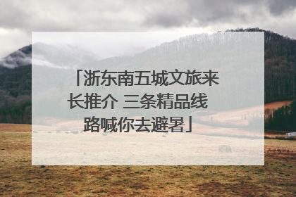 浙东南五城文旅来长推介 三条精品线路喊你去避暑