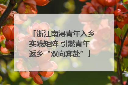 浙江南浔青年入乡实践矩阵 引燃青年返乡“双向奔赴”