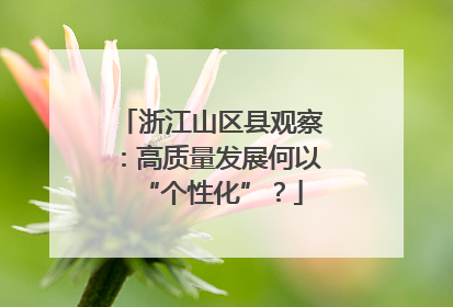 浙江山区县观察：高质量发展何以“个性化”？