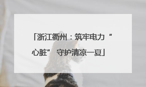 浙江衢州：筑牢电力“心脏” 守护清凉一夏