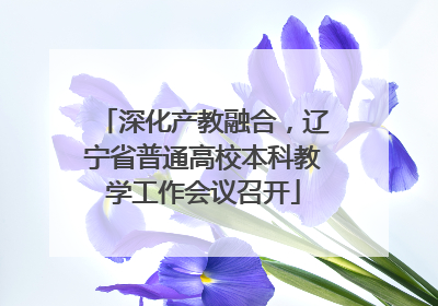 深化产教融合，辽宁省普通高校本科教学工作会议召开