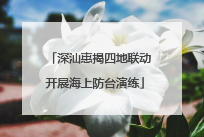深汕惠揭四地联动开展海上防台演练