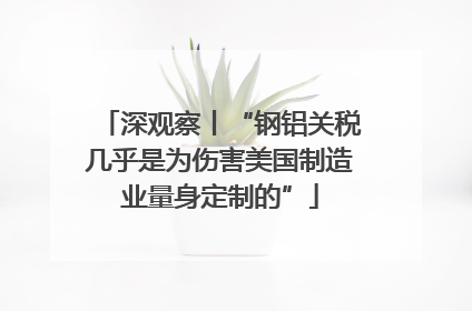 深观察丨“钢铝关税几乎是为伤害美国制造业量身定制的”