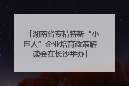 湖南省专精特新“小巨人”企业培育政策解读会在长沙举办