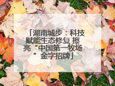 湖南城步：科技赋能生态修复 擦亮“中国第一牧场”金字招牌
