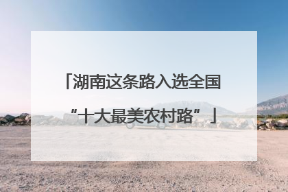 湖南这条路入选全国“十大最美农村路”