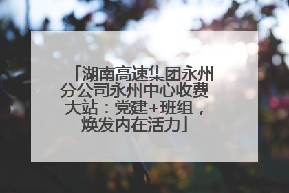 湖南高速集团永州分公司永州中心收费大站：党建+班组，焕发内在活力
