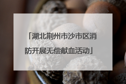 湖北荆州市沙市区消防开展无偿献血活动