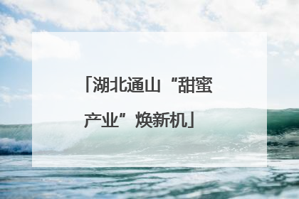 湖北通山“甜蜜产业”焕新机