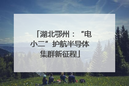 湖北鄂州：“电小二”护航半导体集群新征程