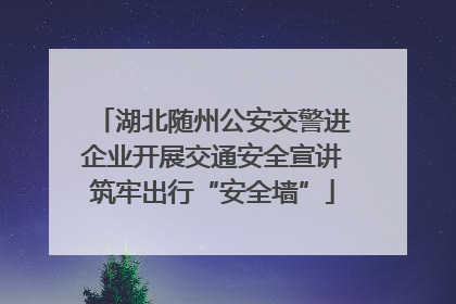 湖北随州公安交警进企业开展交通安全宣讲筑牢出行“安全墙”
