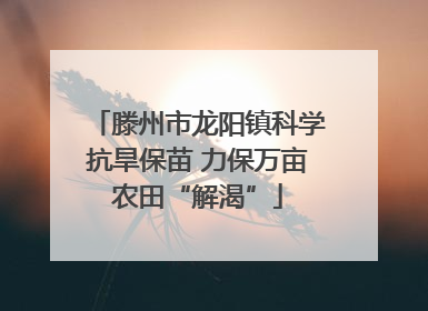 滕州市龙阳镇科学抗旱保苗 力保万亩农田“解渴”