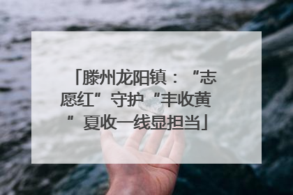 滕州龙阳镇：“志愿红”守护“丰收黄”夏收一线显担当
