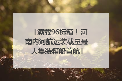 满载96标箱！河南内河航运装载量最大集装箱船首航