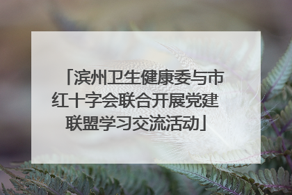 滨州卫生健康委与市红十字会联合开展党建联盟学习交流活动