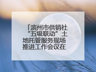 滨州市供销社“五级联动”土地托管服务现场推进工作会议在无棣县举办