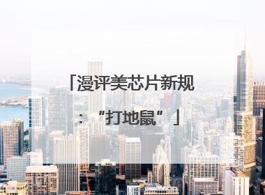 漫评美芯片新规：“打地鼠”