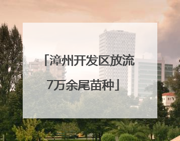 漳州开发区放流7万余尾苗种