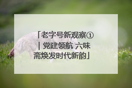 老字号新观察①｜党建领航 六味斋焕发时代新韵