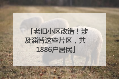 老旧小区改造！涉及淄博这些片区，共1886户居民