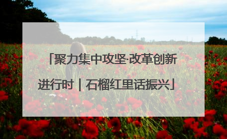 聚力集中攻坚·改革创新进行时｜石榴红里话振兴