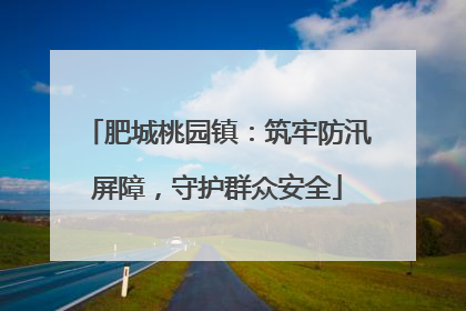 肥城桃园镇：筑牢防汛屏障，守护群众安全