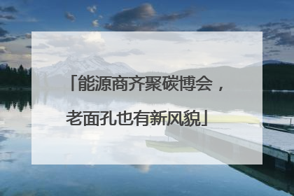 能源商齐聚碳博会，老面孔也有新风貌