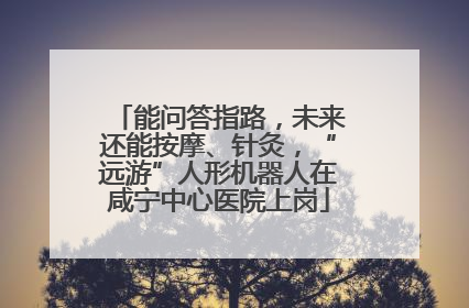 能问答指路，未来还能按摩、针灸，“远游”人形机器人在咸宁中心医院上岗